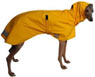 Coats, boots, and snoods for your greyhound