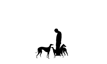 Maine Greyhound Placement Services
